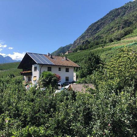 Pixnerhof - Urlaub Am Biohof Apartment Castelbello Ngoại thất bức ảnh
