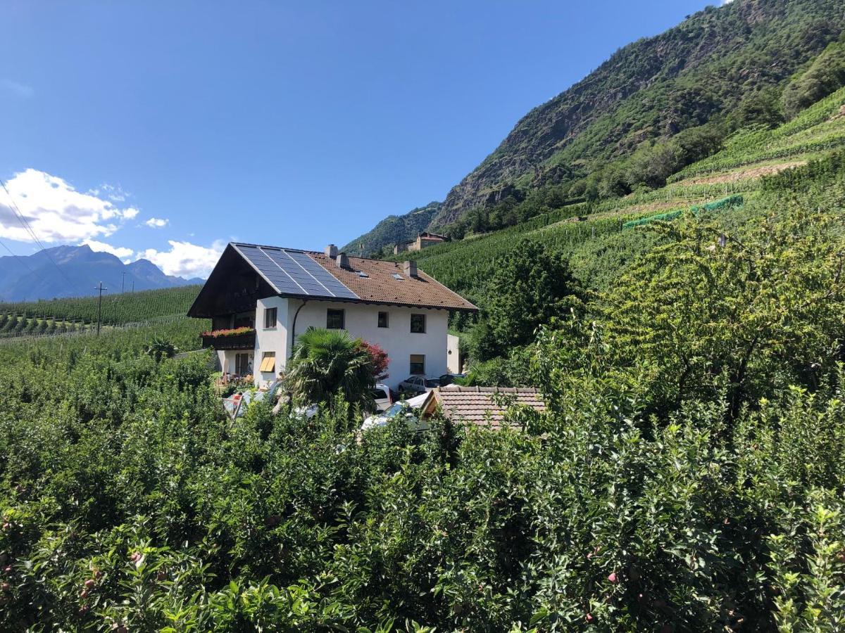 Pixnerhof - Urlaub Am Biohof Apartment Castelbello Ngoại thất bức ảnh