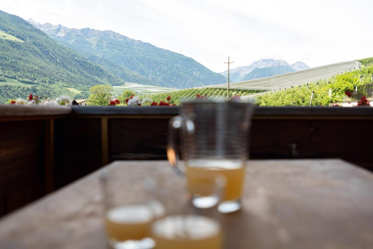 Pixnerhof - Urlaub Am Biohof Apartment Castelbello Ngoại thất bức ảnh