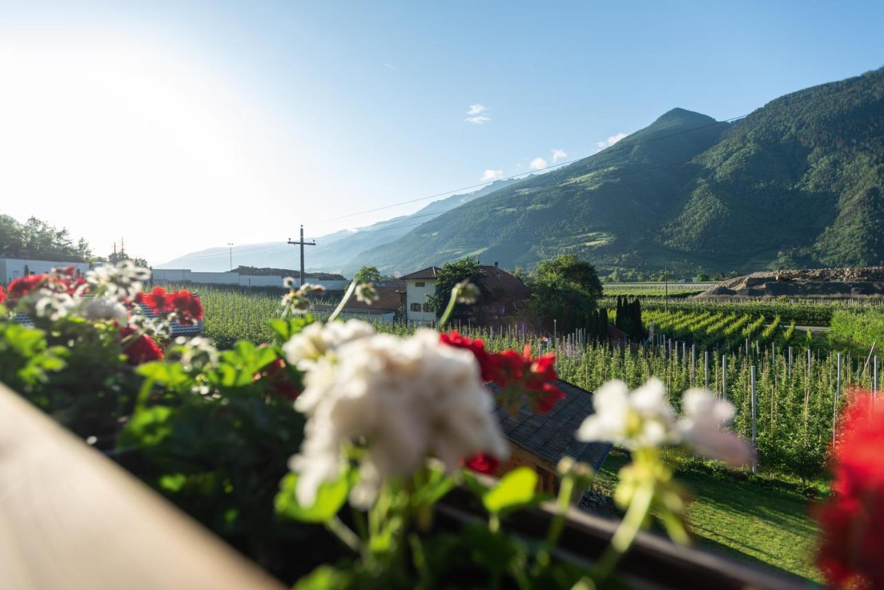 Pixnerhof - Urlaub Am Biohof Apartment Castelbello Ngoại thất bức ảnh
