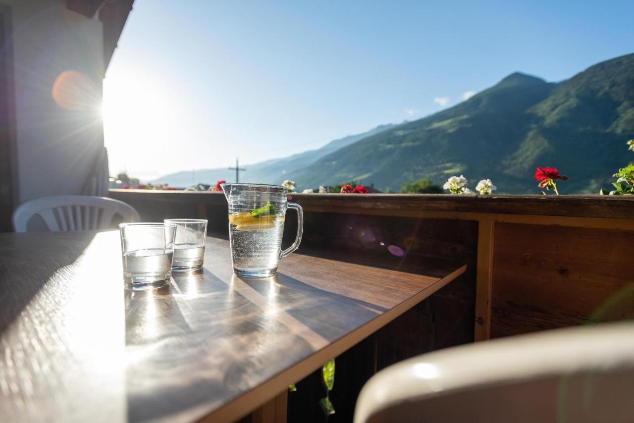 Pixnerhof - Urlaub Am Biohof Apartment Castelbello Ngoại thất bức ảnh
