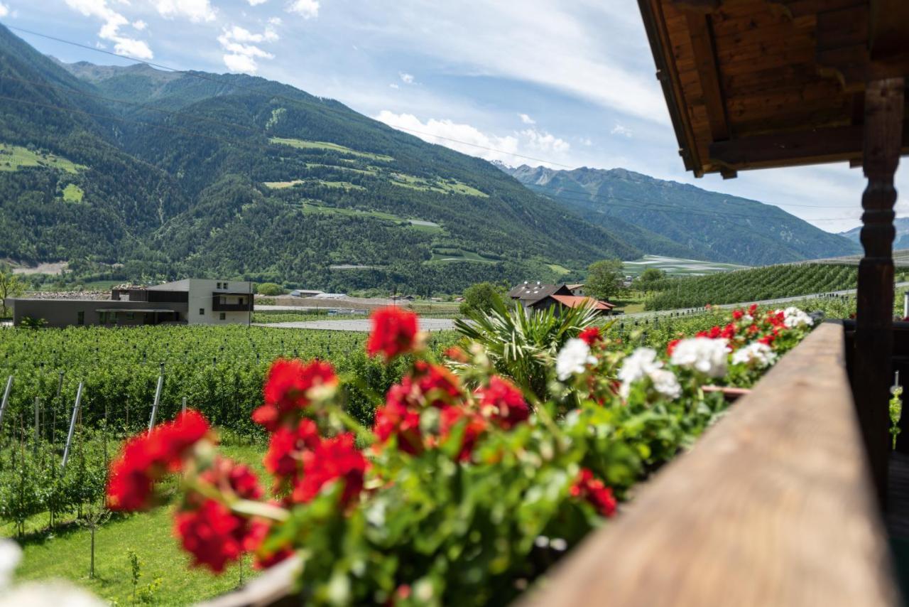 Pixnerhof - Urlaub Am Biohof Apartment Castelbello Ngoại thất bức ảnh