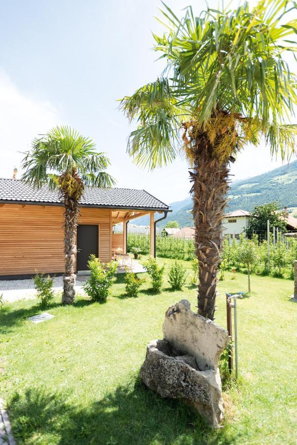 Pixnerhof - Urlaub Am Biohof Apartment Castelbello Ngoại thất bức ảnh